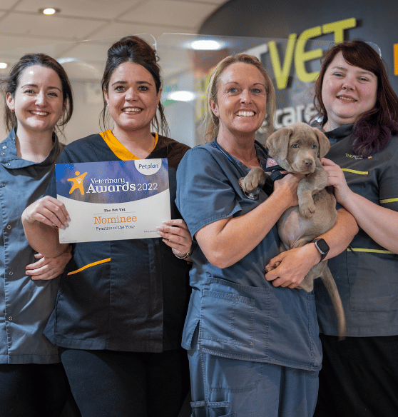 The Pet Vet Doncaster - Vets Doncaster | 01302 325608 | The Pet Vet